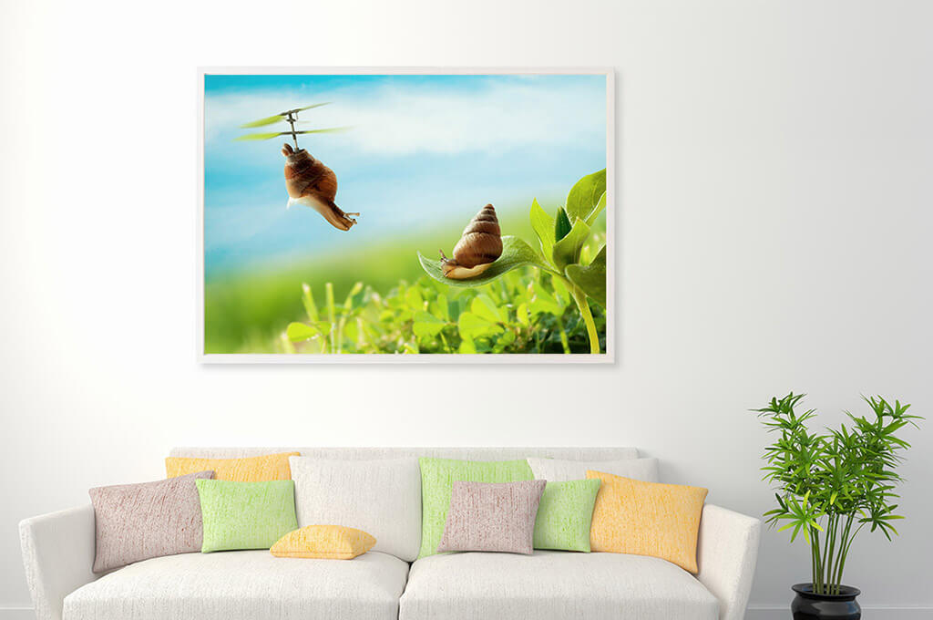 Evolution Print
