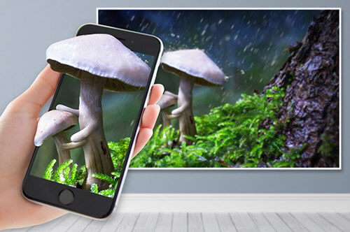 Mom-shroom